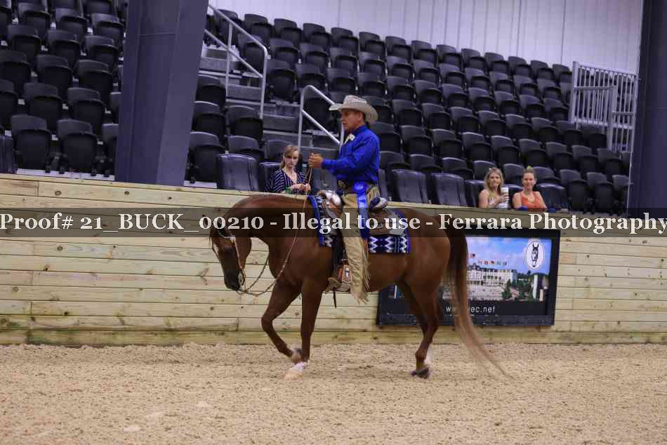Proof 21_BUCK_00210