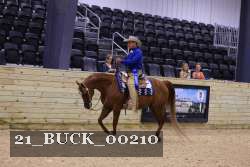 21_BUCK_00210 proof