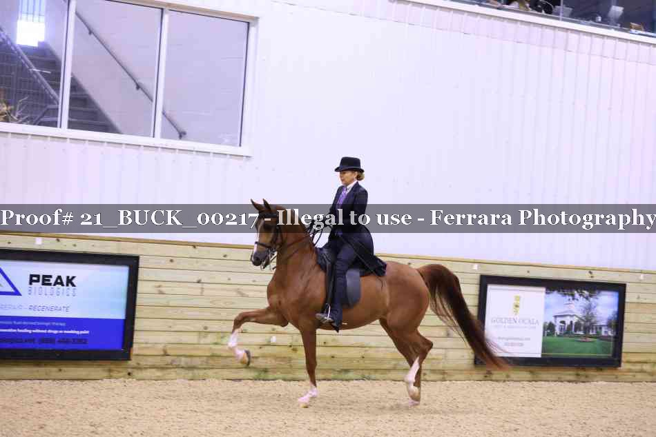 Proof 21_BUCK_00217