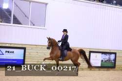 21_BUCK_00217 proof