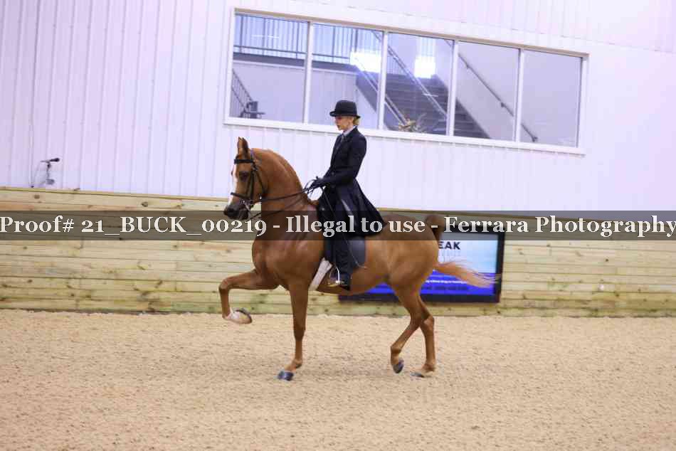 Proof 21_BUCK_00219