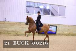 21_BUCK_00219 proof