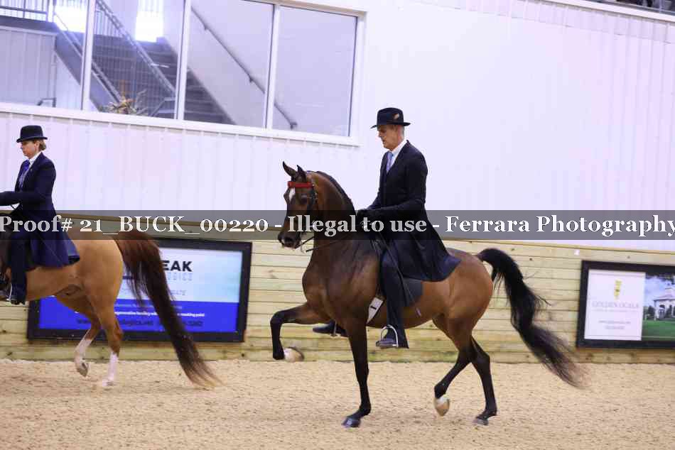 Proof 21_BUCK_00220