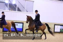 21_BUCK_00220 proof