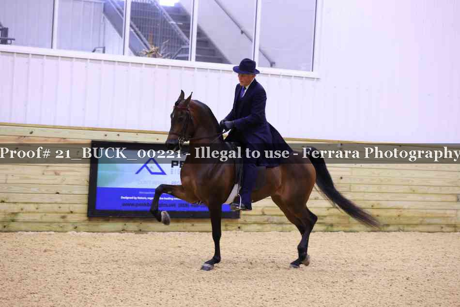 Proof 21_BUCK_00221