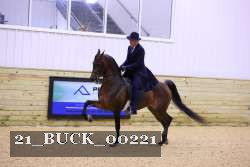 21_BUCK_00221 proof