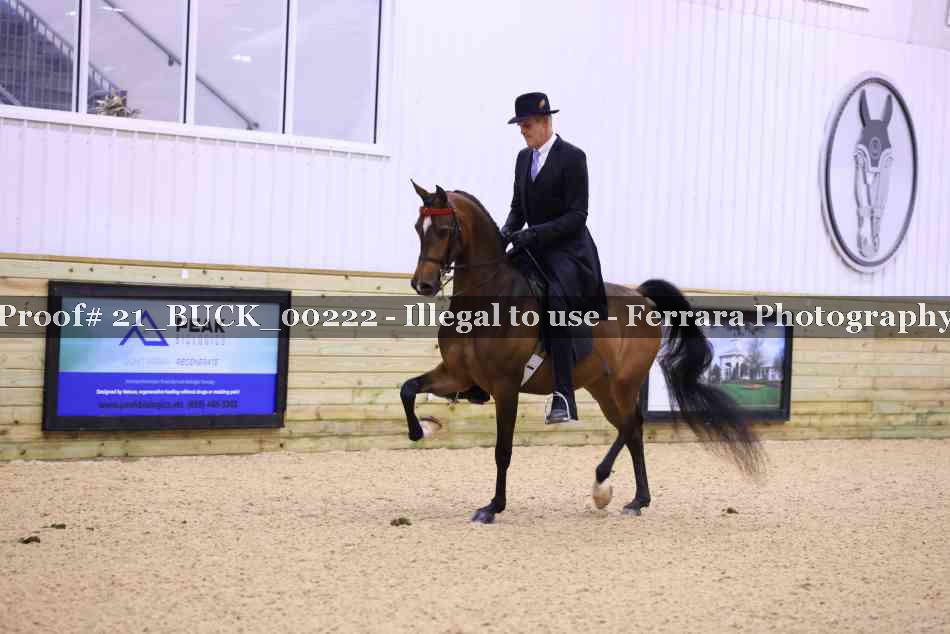 Proof 21_BUCK_00222