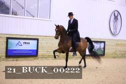 21_BUCK_00222 proof