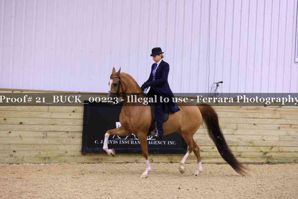 Proof 21_BUCK_00223