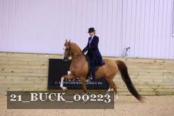 21_BUCK_00223 proof