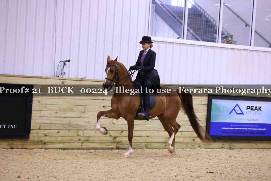 Proof 21_BUCK_00224