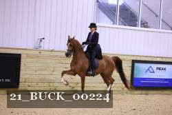 21_BUCK_00224 proof