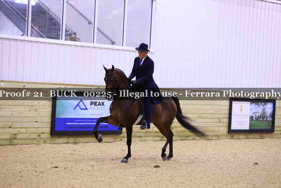 Proof 21_BUCK_00225