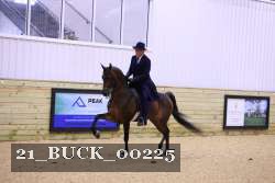 21_BUCK_00225 proof