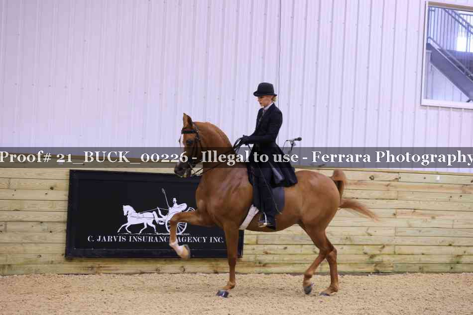 Proof 21_BUCK_00226