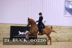 21_BUCK_00226 proof