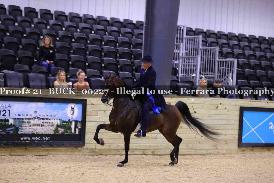 Proof 21_BUCK_00227
