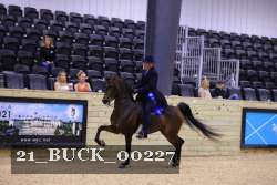 21_BUCK_00227 proof