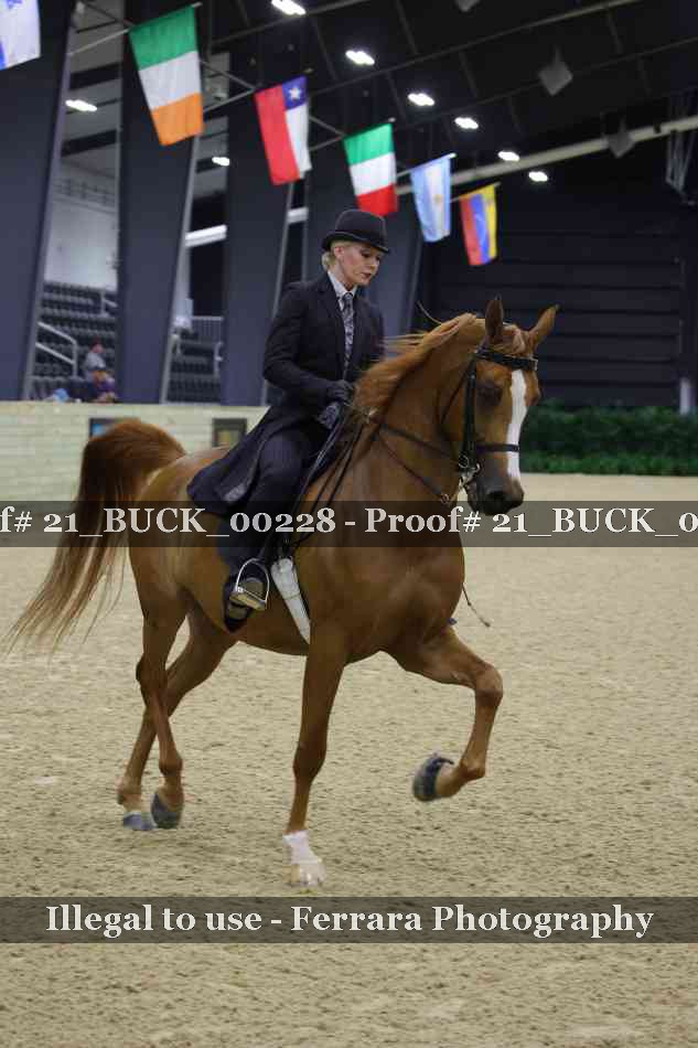 Proof 21_BUCK_00228