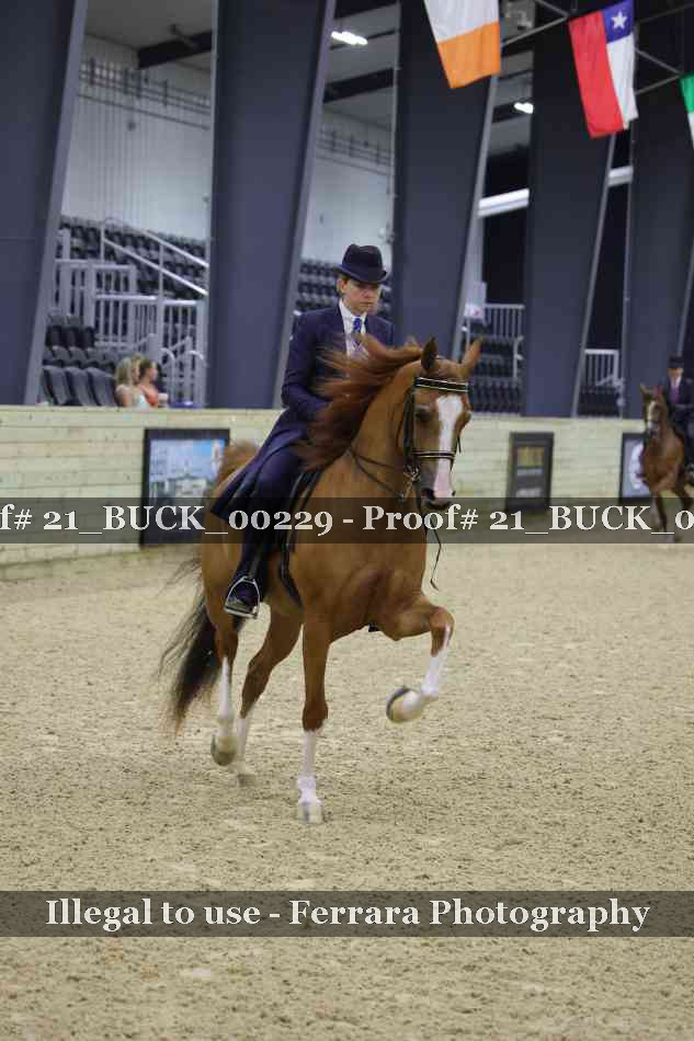 Proof 21_BUCK_00229