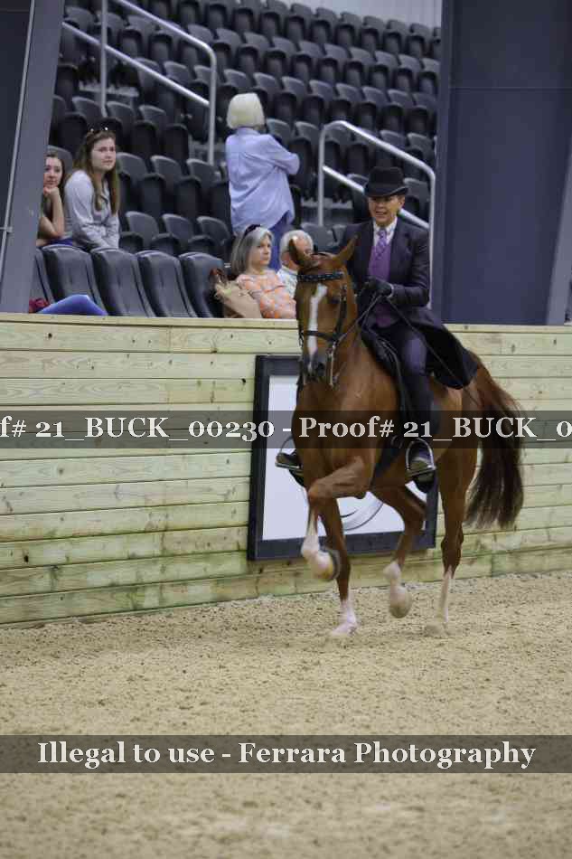 Proof 21_BUCK_00230