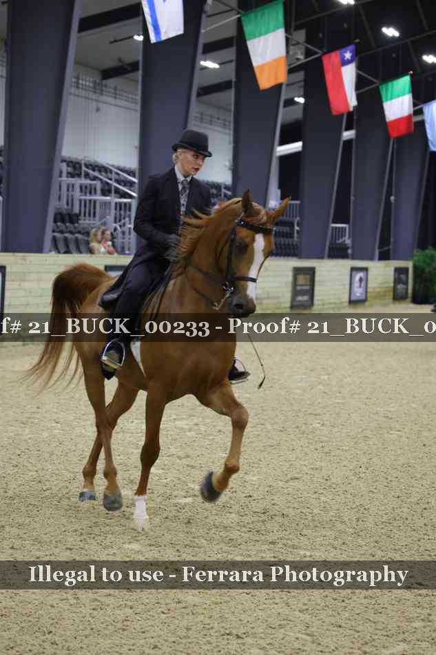 Proof 21_BUCK_00233