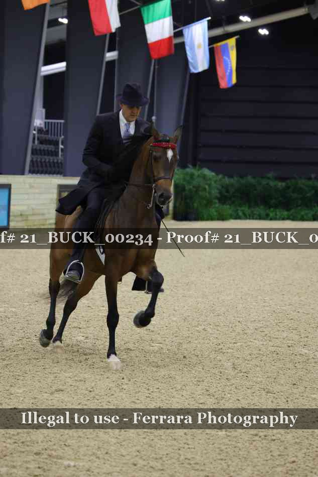 Proof 21_BUCK_00234