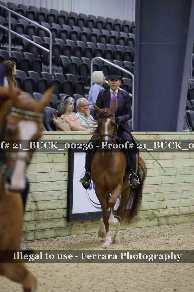 Proof 21_BUCK_00236