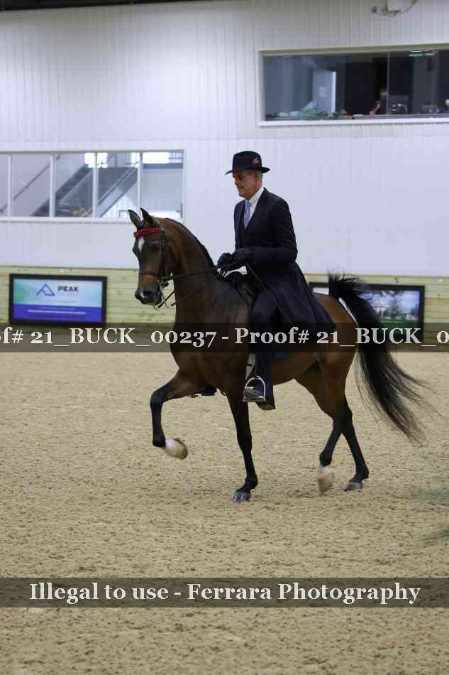 Proof 21_BUCK_00237