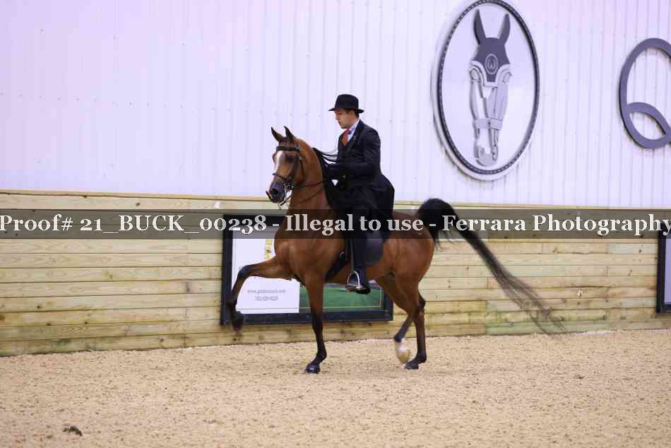Proof 21_BUCK_00238