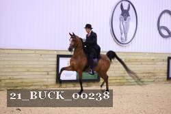 21_BUCK_00238 proof