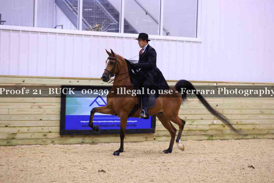 Proof 21_BUCK_00239