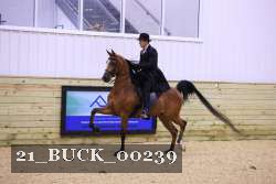 21_BUCK_00239 proof