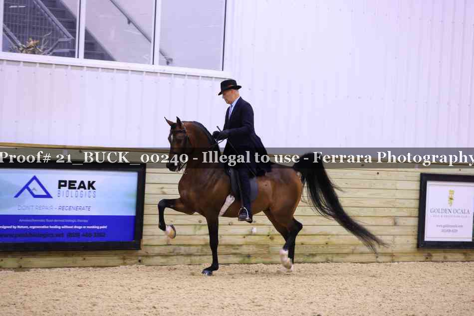 Proof 21_BUCK_00240