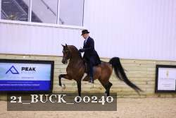 21_BUCK_00240 proof