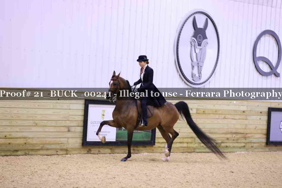 Proof 21_BUCK_00241