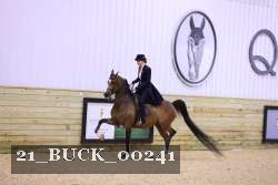 21_BUCK_00241 proof