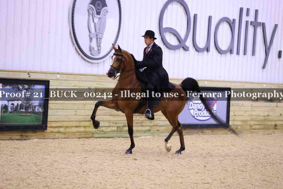 Proof 21_BUCK_00242