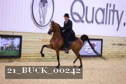 21_BUCK_00242 proof