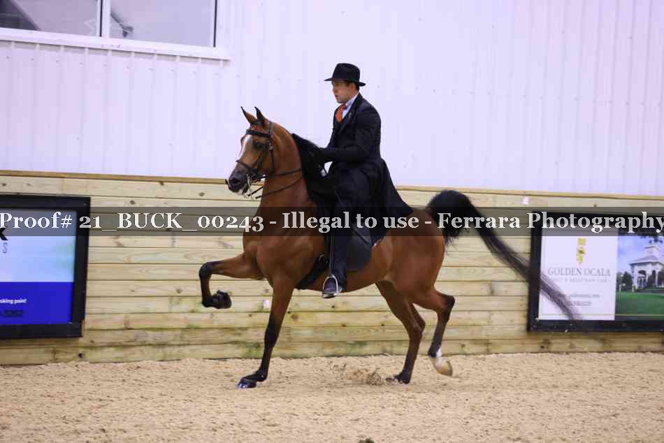 Proof 21_BUCK_00243