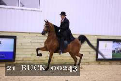 21_BUCK_00243 proof