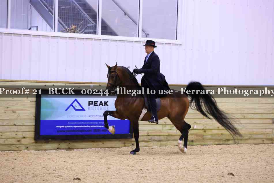 Proof 21_BUCK_00244