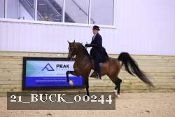 21_BUCK_00244 proof
