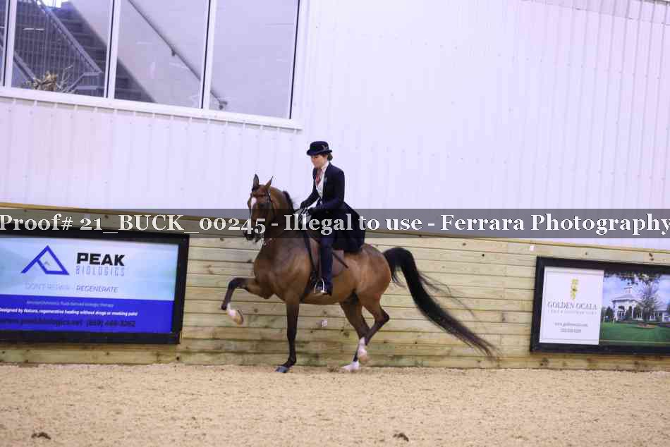 Proof 21_BUCK_00245
