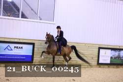 21_BUCK_00245 proof