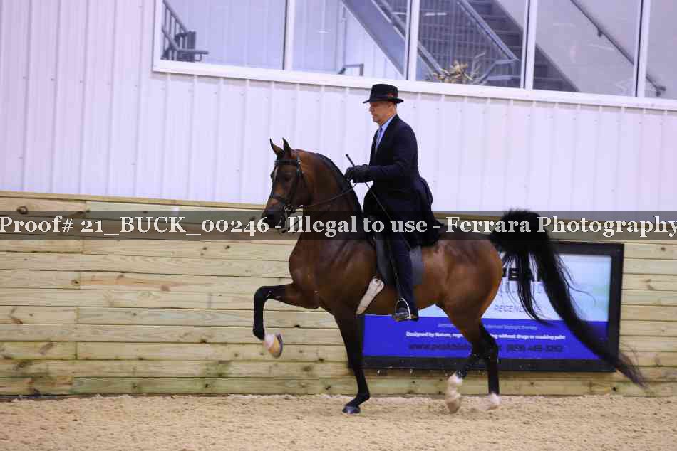 Proof 21_BUCK_00246