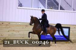 21_BUCK_00246 proof