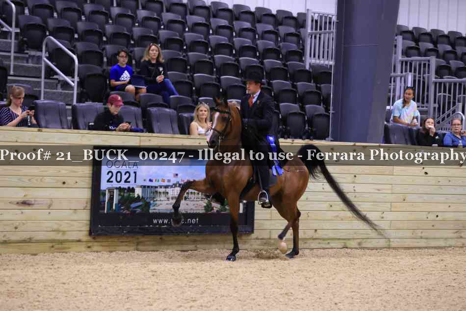 Proof 21_BUCK_00247
