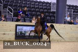 21_BUCK_00247 proof