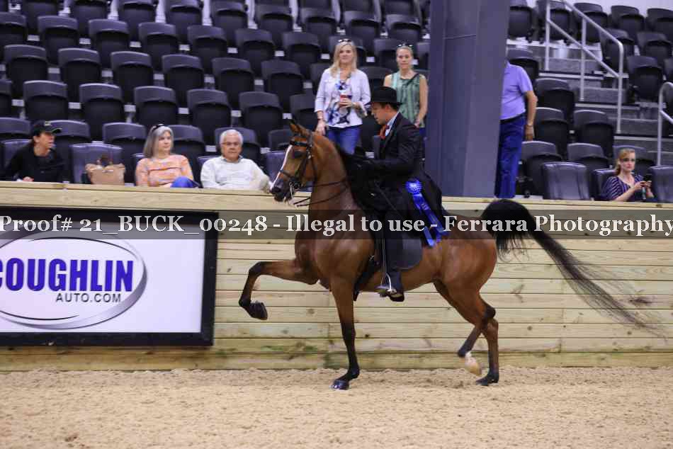 Proof 21_BUCK_00248